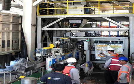 Máquina de ensacado y paletizado para nuestro cliente ISAOSA en México