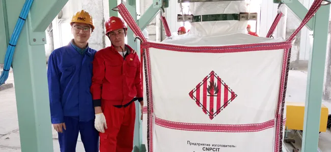 Instalación y puesta en marcha en sitio